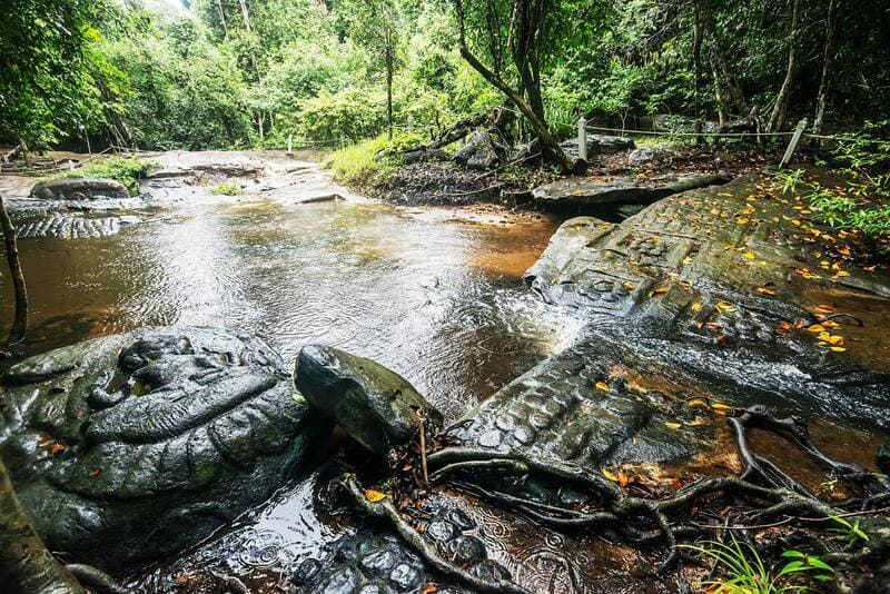 Capture the vibrant beauty of Phnom Kulen in the dry season